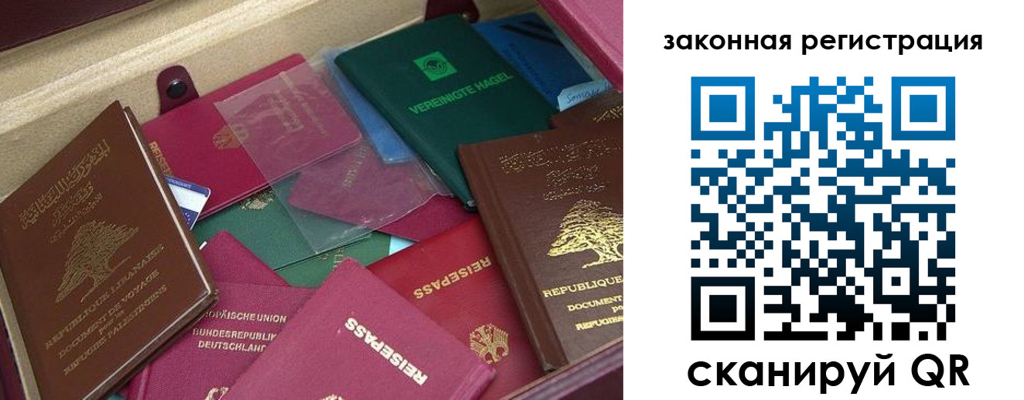 купить прописку в Елизово
